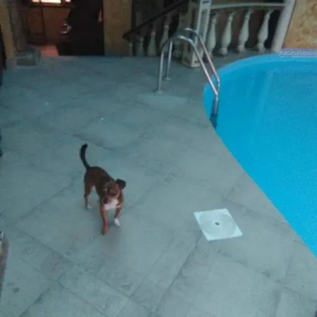 Hotel Boutique Troy Sveti Vlas