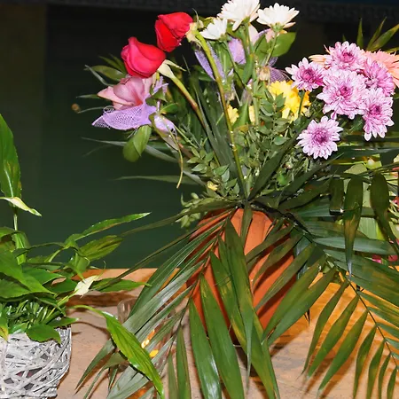 Boutique Troy Hotel Sveti Vlas