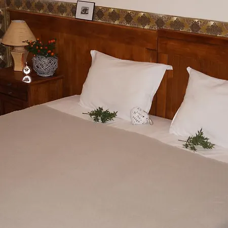 Отель Boutique Troy Свети-Влас